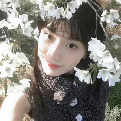 重生退婚妻第二季
