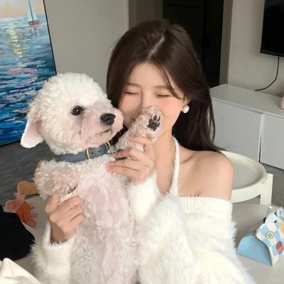 辛德瑞拉的诡计